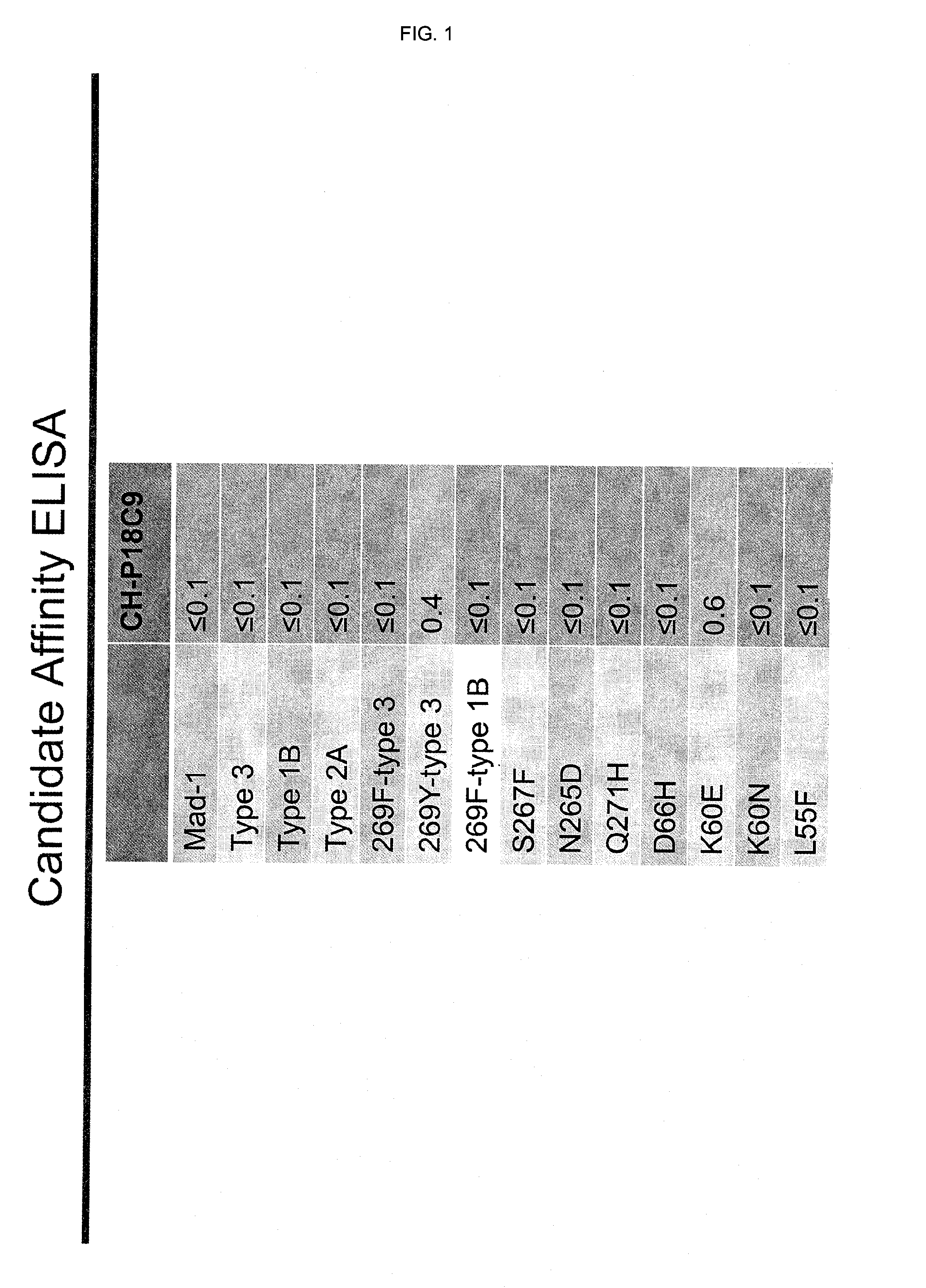 Jcv neutralizing antibodies