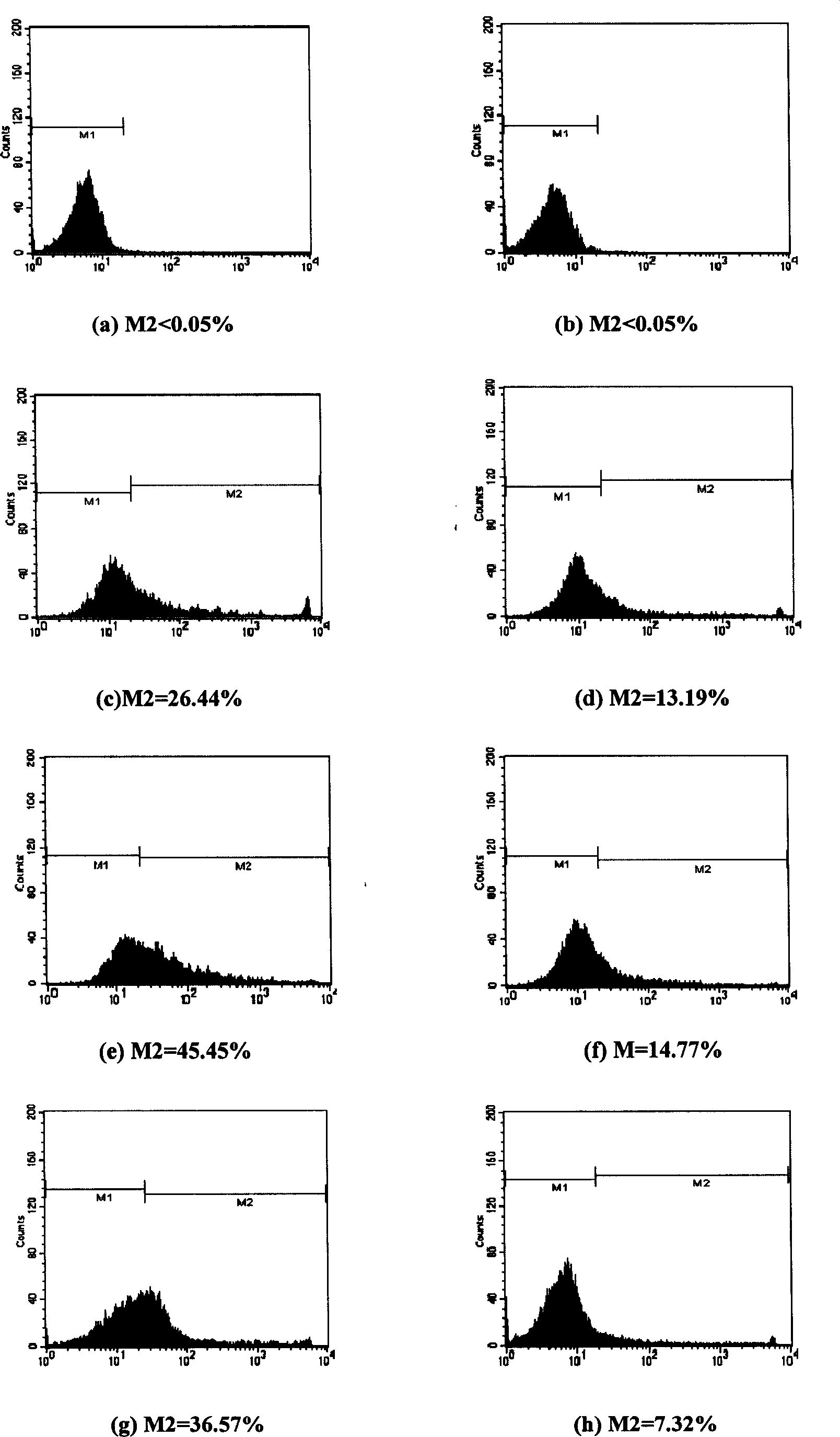 Chronic myelogenous leukemia cell KT-1/A3 specific targeting short peptide series and its sieving