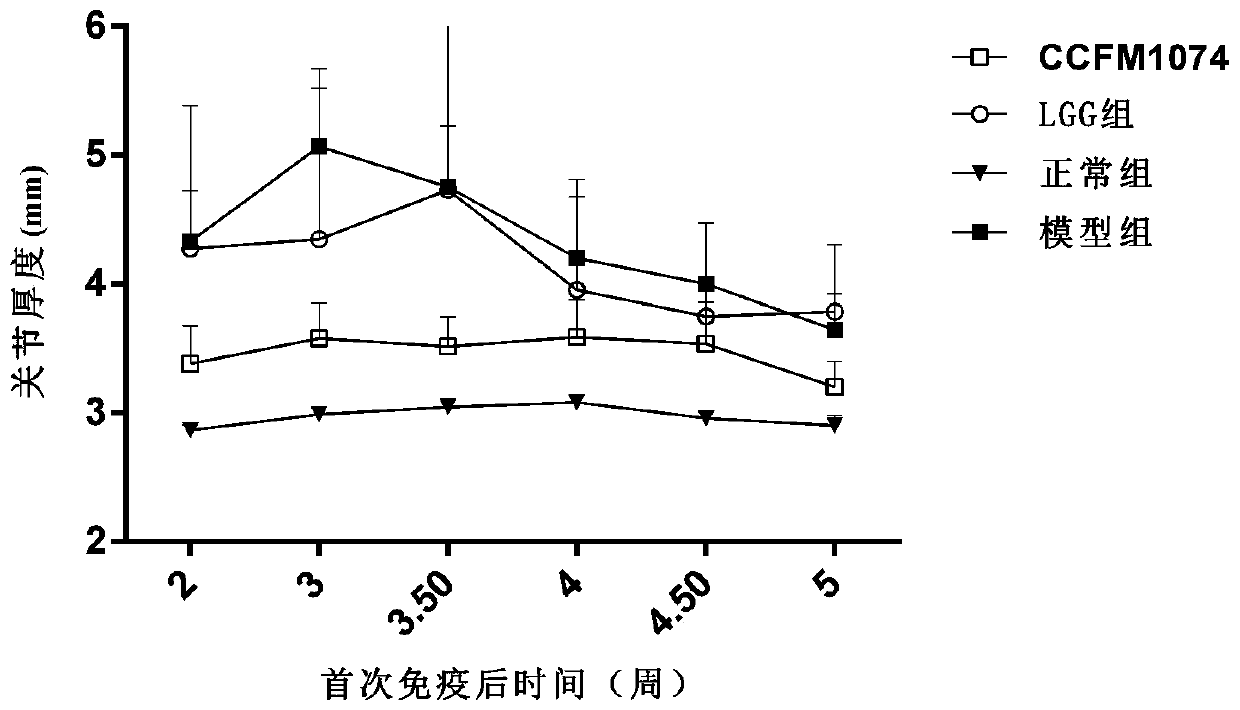 Lactobacillus casei capable of relieving rheumatoid arthritis and application of lactobacillus casei