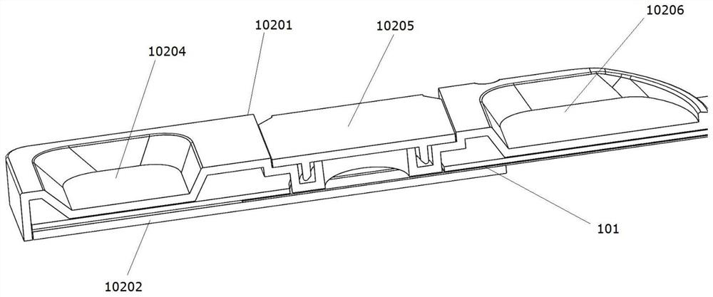 ACT detection chip