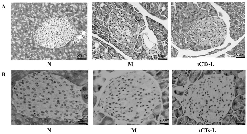 Application of iota-calaratetraose in alleviating metabolic syndrome and preparing related products