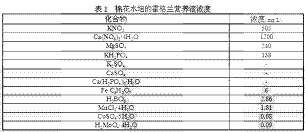 Water planting method for cotton