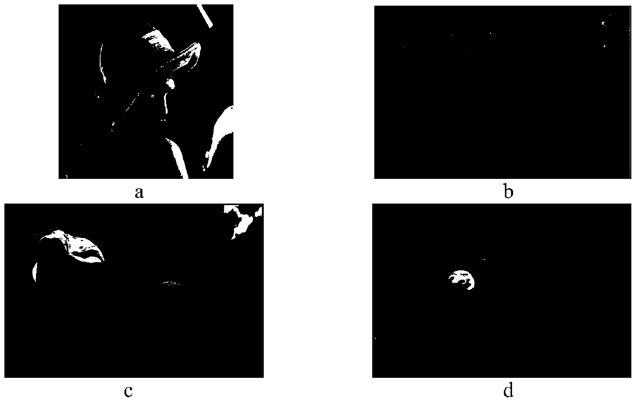 A Lossless Image Compression Method Based on Discrete Tchebichef Orthogonal Polynomials