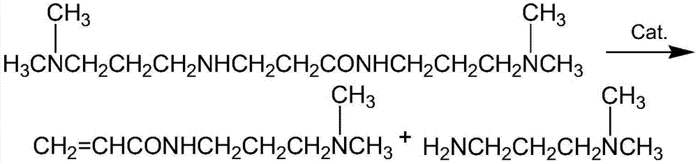 Method for preparing DMAPPA (N-(3-dimethyl aminopropyl) acrylamide) through catalytic amidation