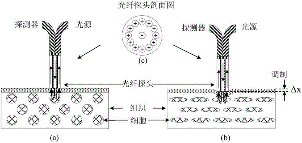 Pressure-modulation-spectrum-technology-based noninvasive glucose detection system and method