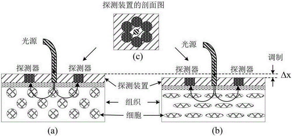 Pressure-modulation-spectrum-technology-based noninvasive glucose detection system and method