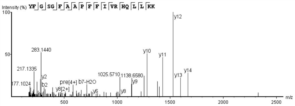 Bioactive polypeptide YFGSGFAAPFFIVRHQLLKK and preparation method and use thereof