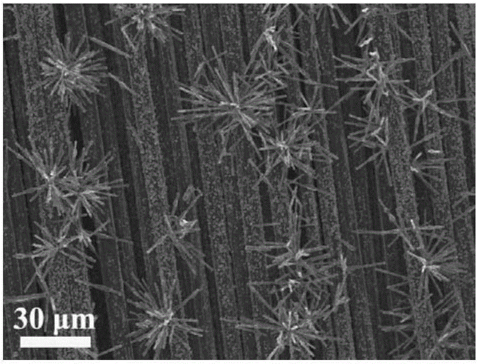 Preparation method of N-doped SiC nanoneedle flexible field emission cathode material