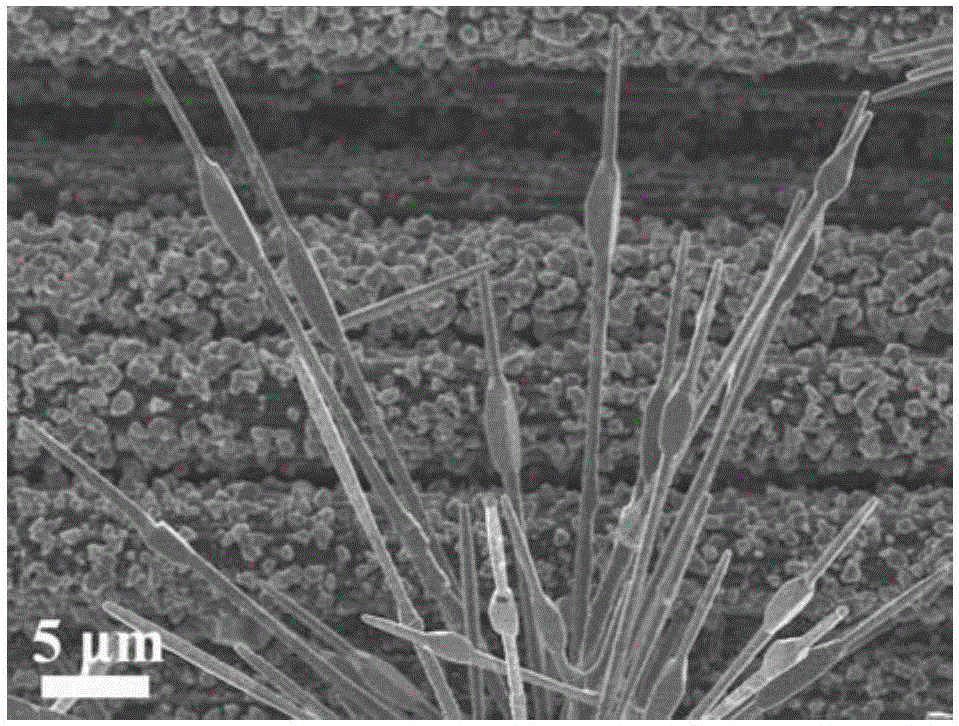 Preparation method of N-doped SiC nanoneedle flexible field emission cathode material