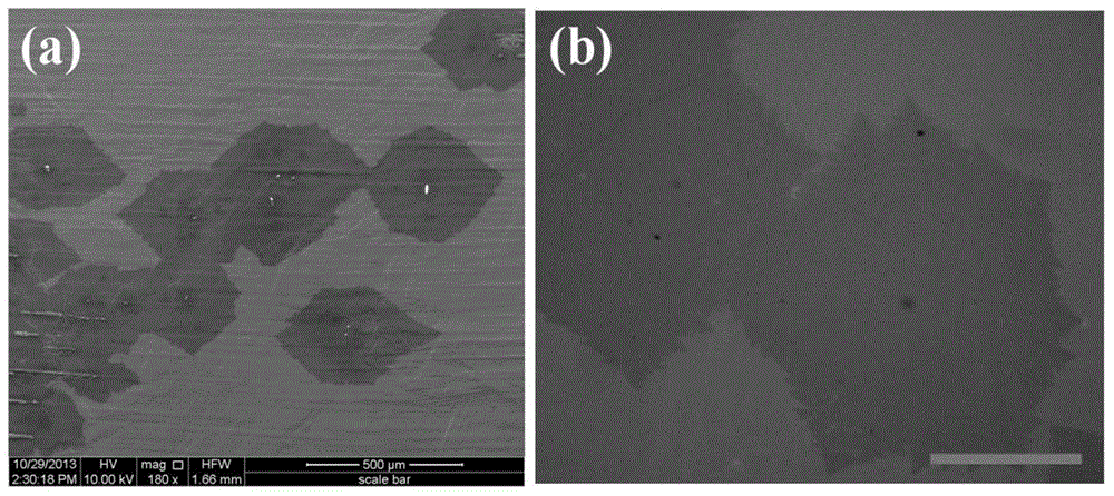 Method for preparing monocrystal graphene