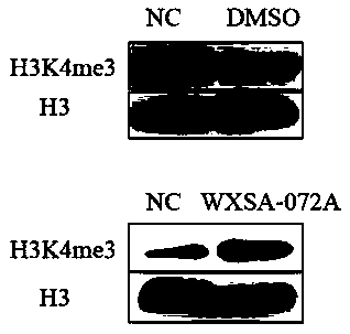 RBP2 enzyme inhibitor small molecular compound WXSA-072A as well as preparation method and anti-gastric cancer application thereof