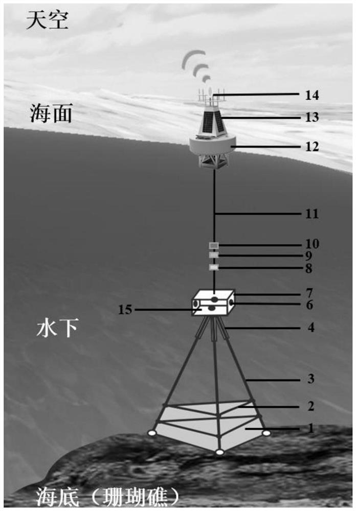 Coral reef whitening automatic identification online monitoring device