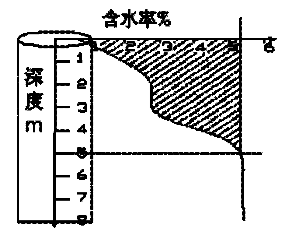 Punching water supplement-based method for treating foundation by adopting dynamic compaction