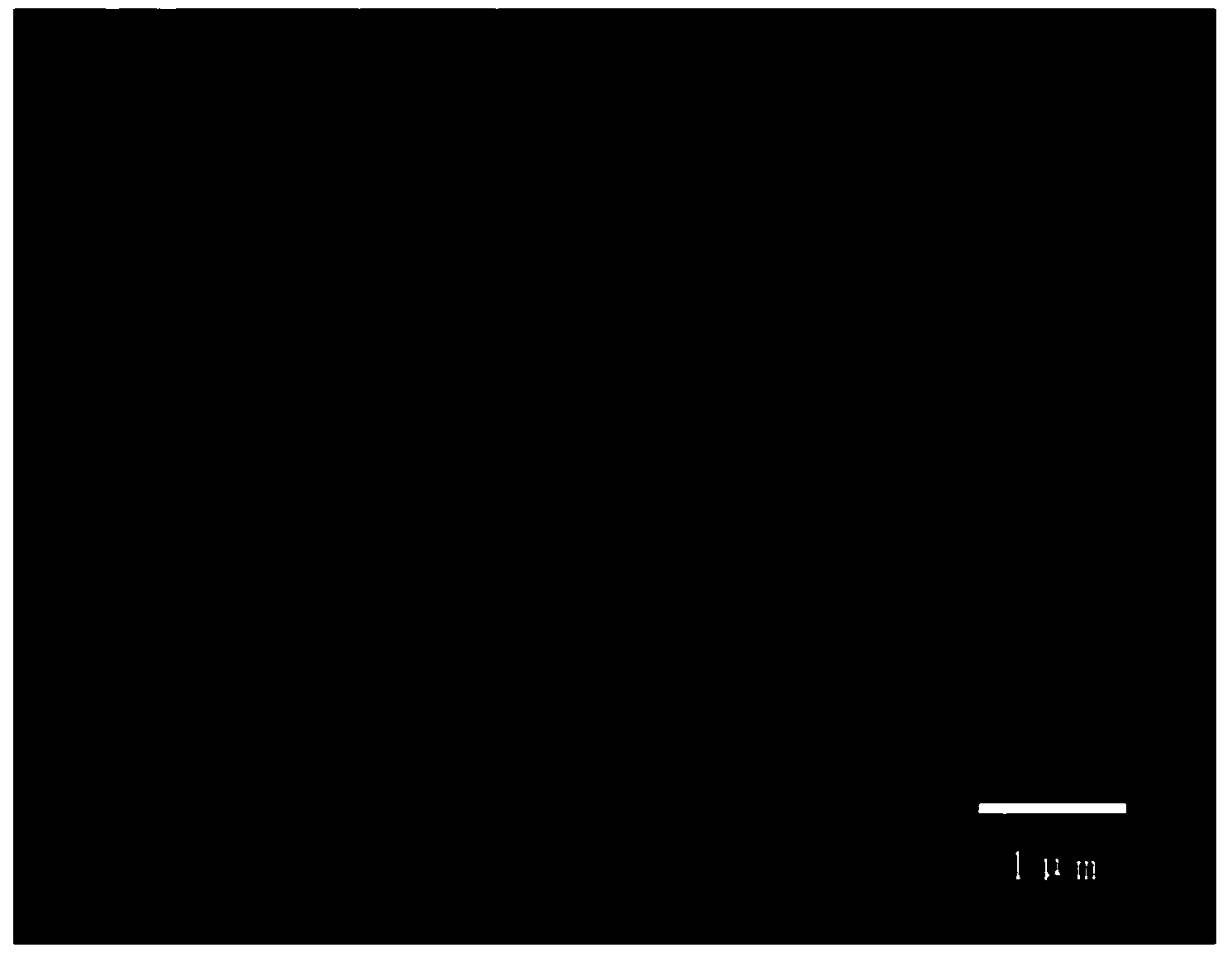 Anti-reflection coating constructed based on cage type silsesquioxane and preparing method and application thereof