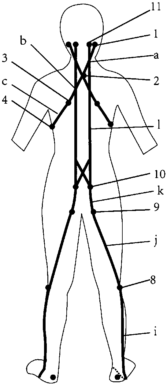 Functional garment capable of protecting muscular fasciae