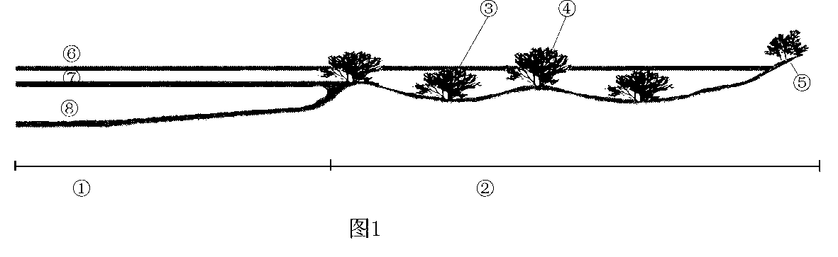 Micro-reformation and vegetation restoration method for degraded plateau and lake wetlands