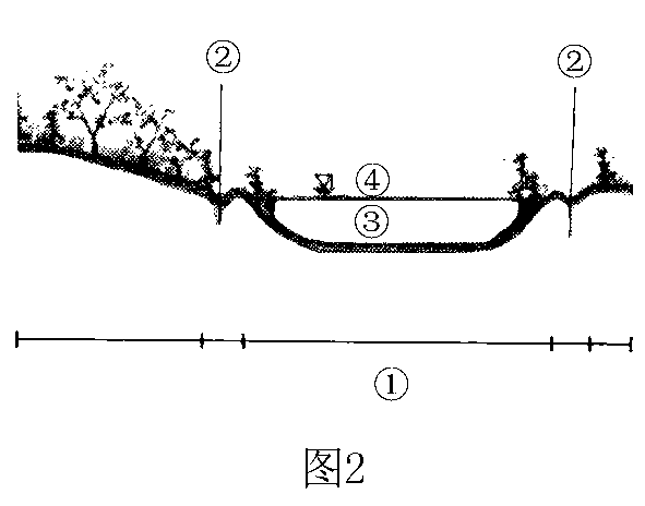 Micro-reformation and vegetation restoration method for degraded plateau and lake wetlands