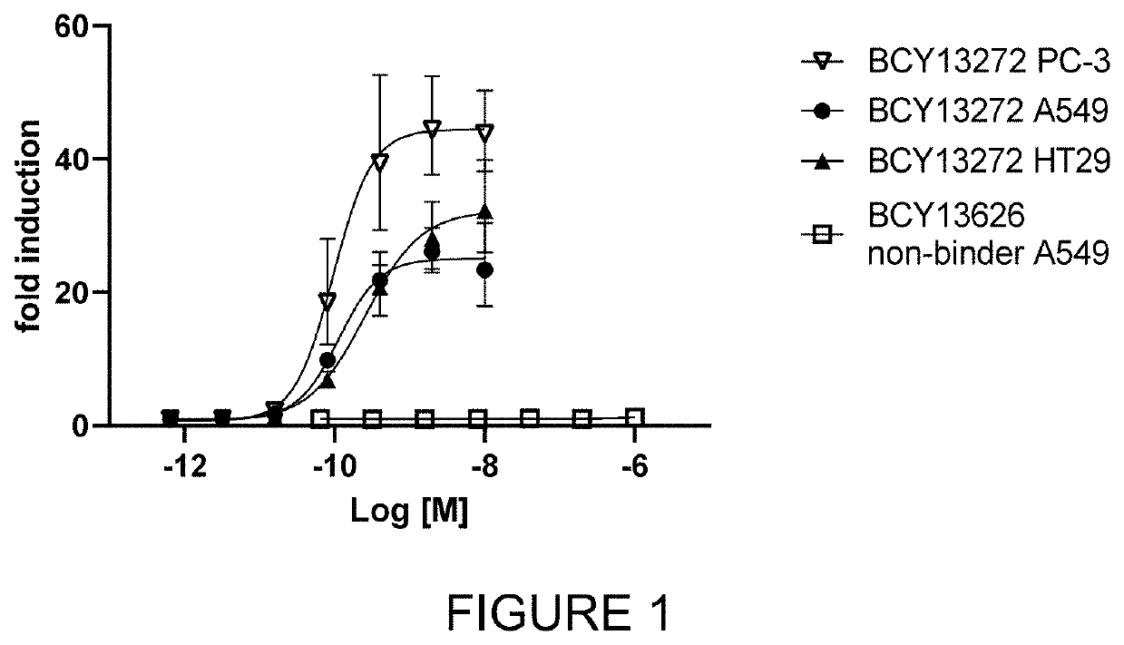 Heterotandem bicyclic peptide complex