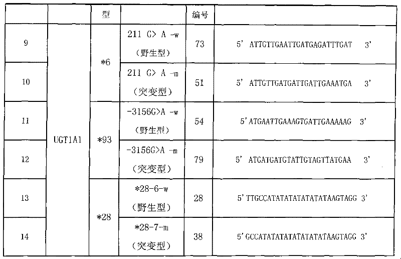 Method for detecting gene polymorphism of UGT1A1 and liquid phase chip