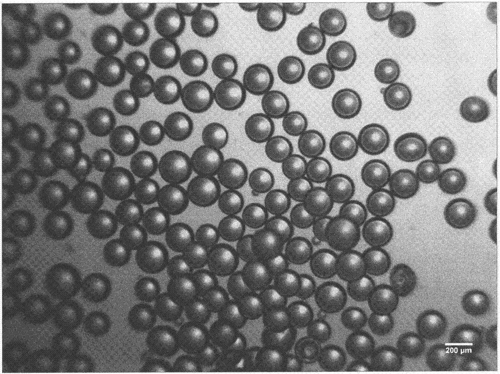 Lysozyme cross-linked dextran sustained-release microspheres and preparation method thereof