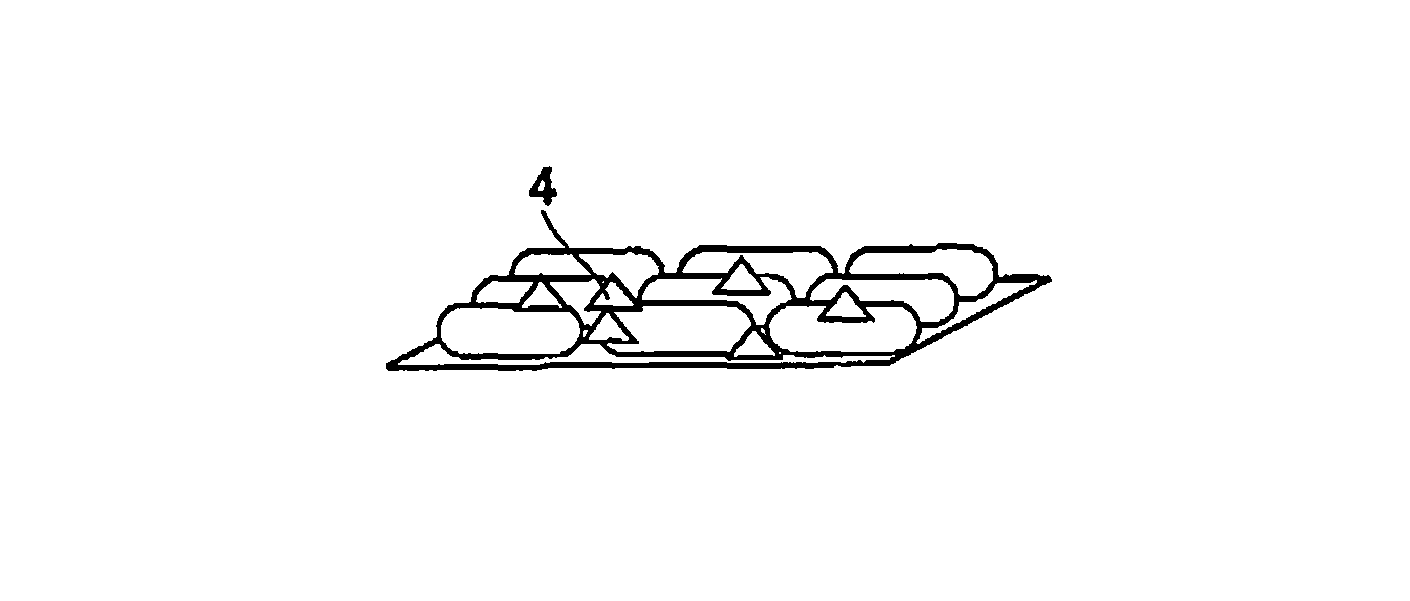 Fine structure body, process for producing the same, and Raman spectroscopic method and apparatus