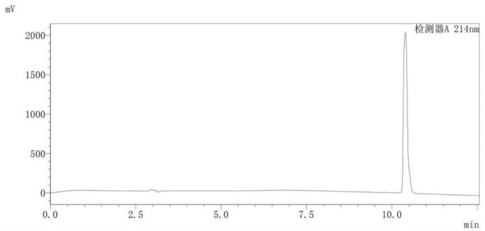 Amphiphilic polypeptide and preparation method and application thereof