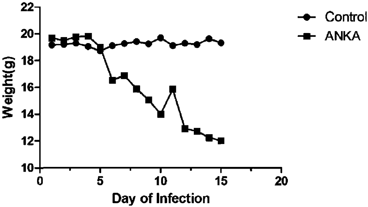 Medicine composition for treating malaria