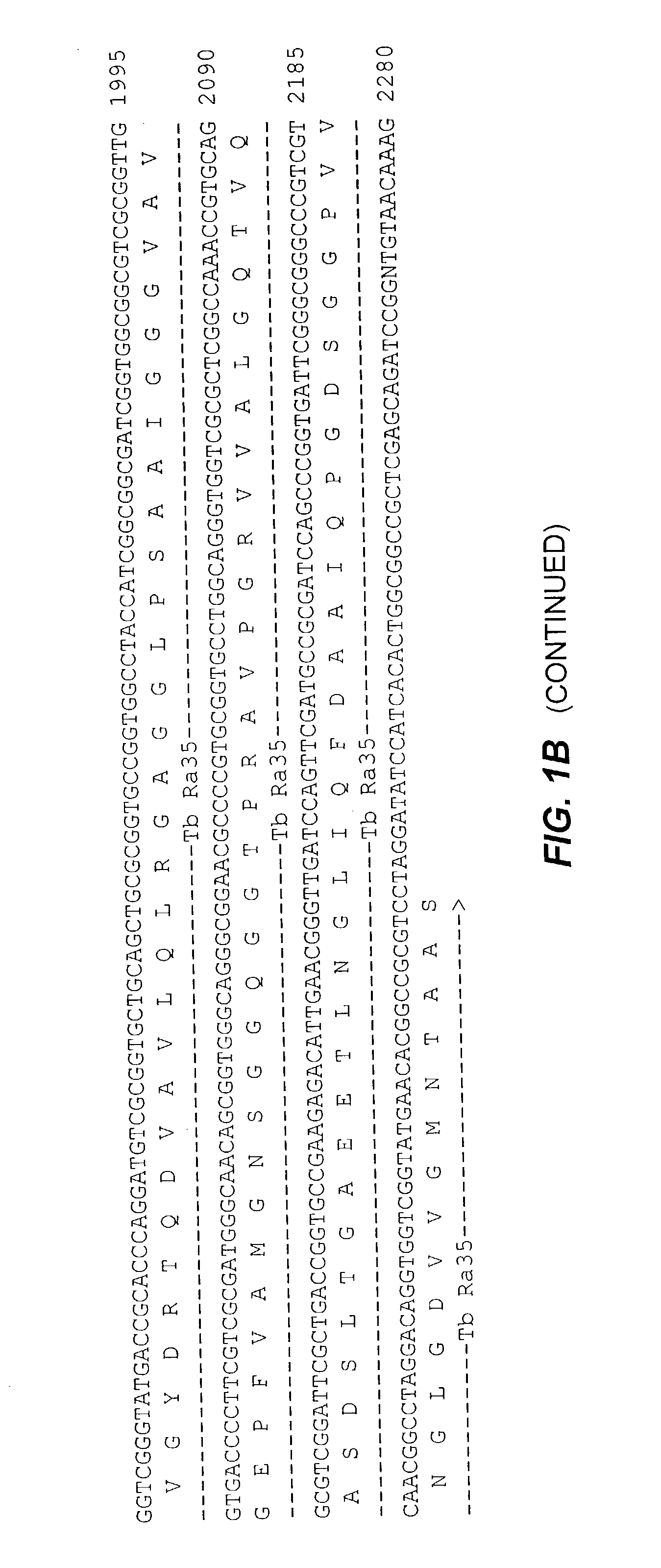 Fusion proteins of mycobacterium tuberculosis antigens and their uses