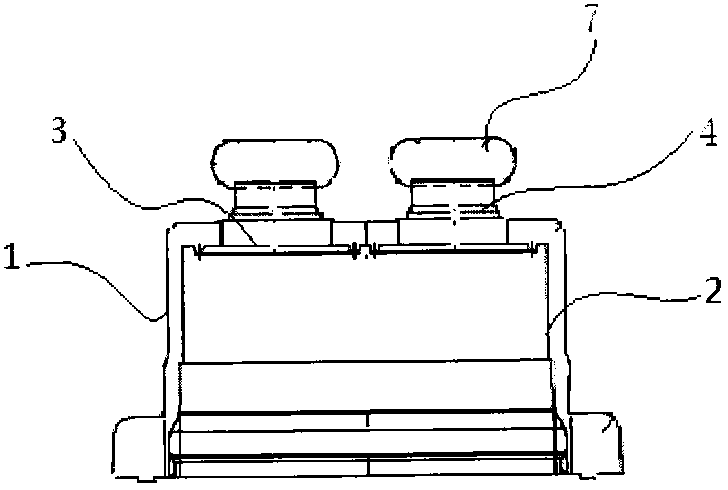 Combined cover, double-valve vertical infusion bag and manufacturing method thereof