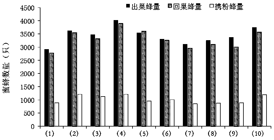 Inducer for improving pear blossom pollen collection efficiency of bees and induction method