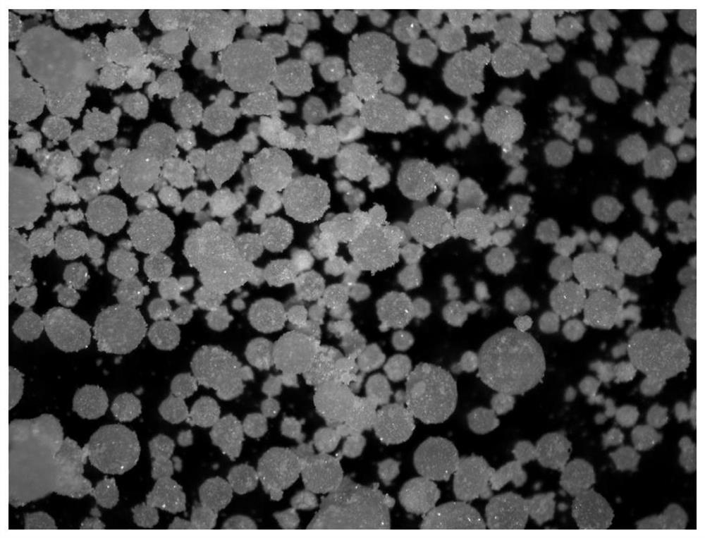 Cement paste temperature control self-repairing microcapsule and preparation method thereof