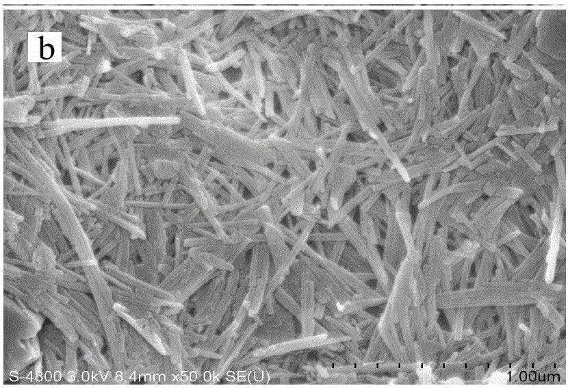 Method for treating industrial park dyeing waste water by adopting modified attapulgite