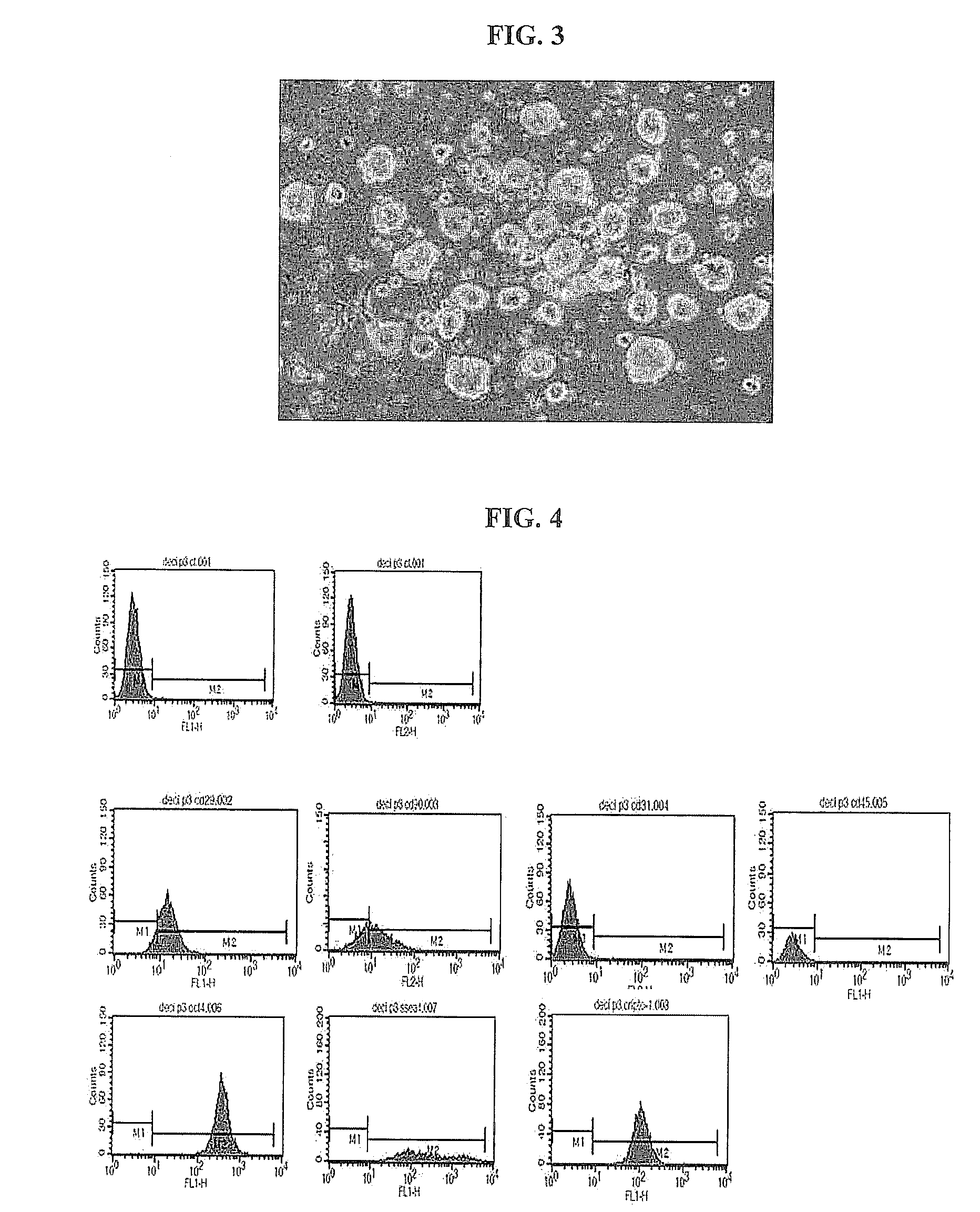 Cellular therapeutic agent for incontinence or urine comprising stem cells originated from decidua or adipose