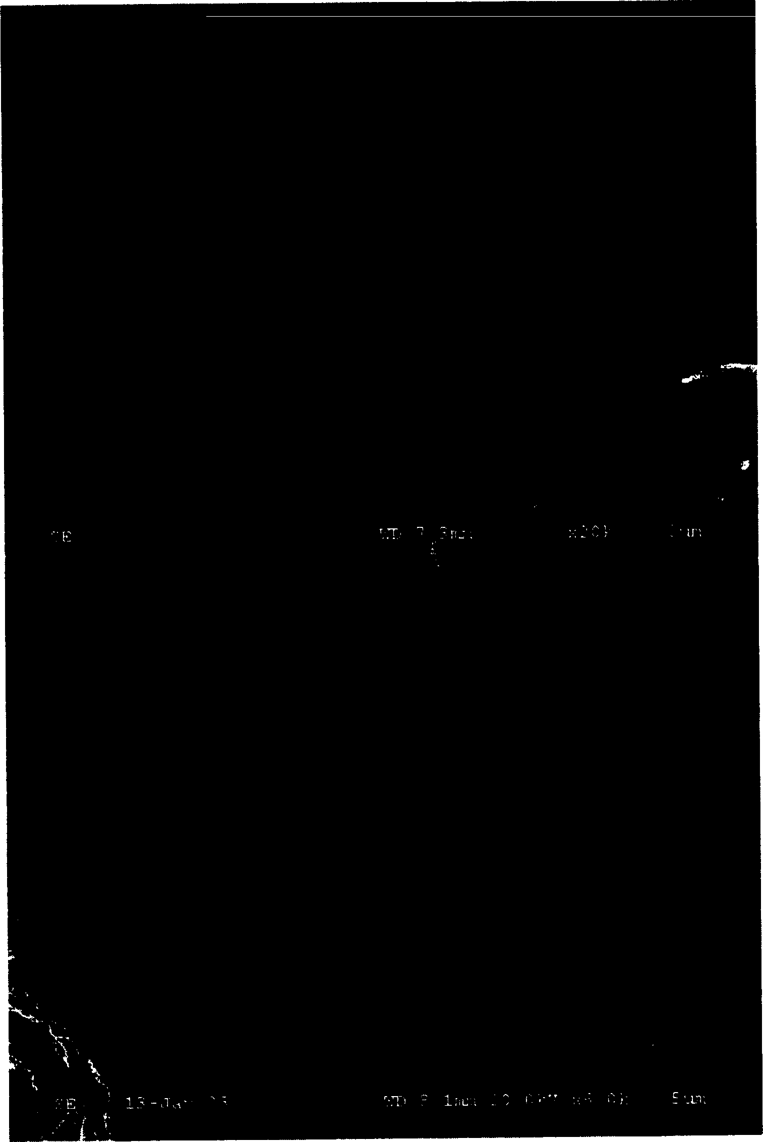 Nanometer metal or alloy composite material and preparation and usage thereof