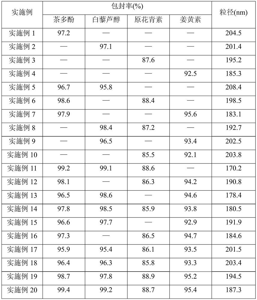 Anti-HPV (human papillomavirus) polyphenol slow-release lipid nanoparticle gel and preparation method thereof