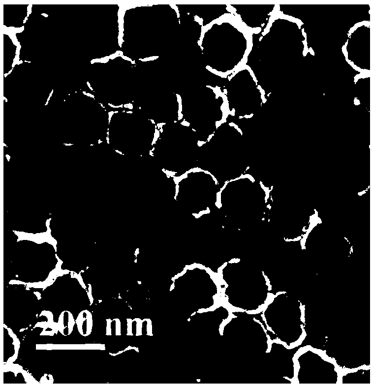 Oxygen reduction catalyst for fuel cell cathode and preparation method of ordered electrode thereof