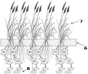 A multifunctional modular floating island for in situ restoration of polluted rivers and lakes