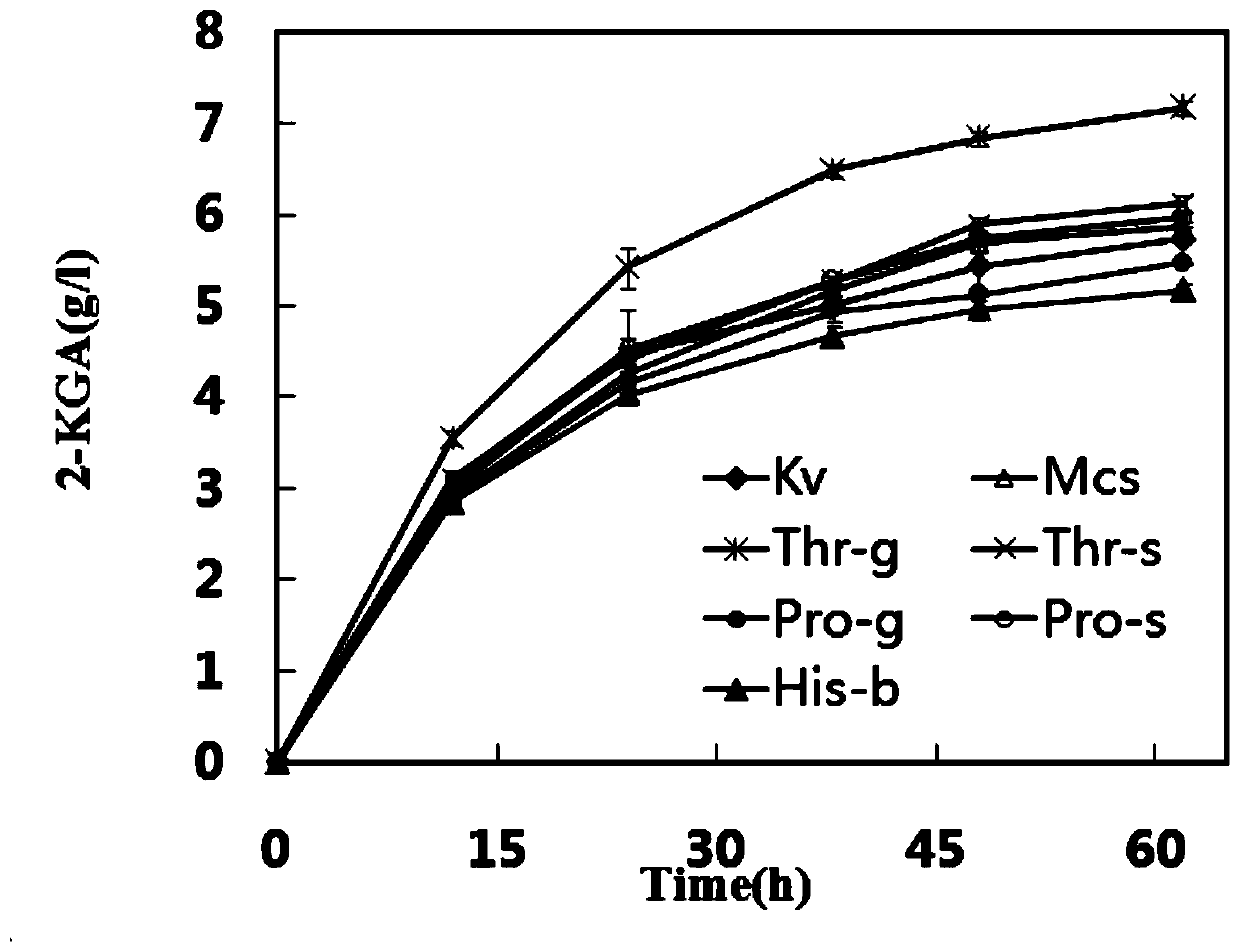 A kind of engineering strain of ketoglobulina and its preparation method and application