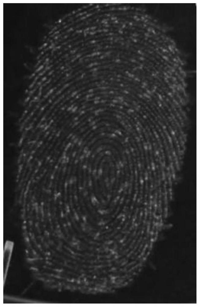 Application of a diarylethene compound in fluorescent color development of fingerprints