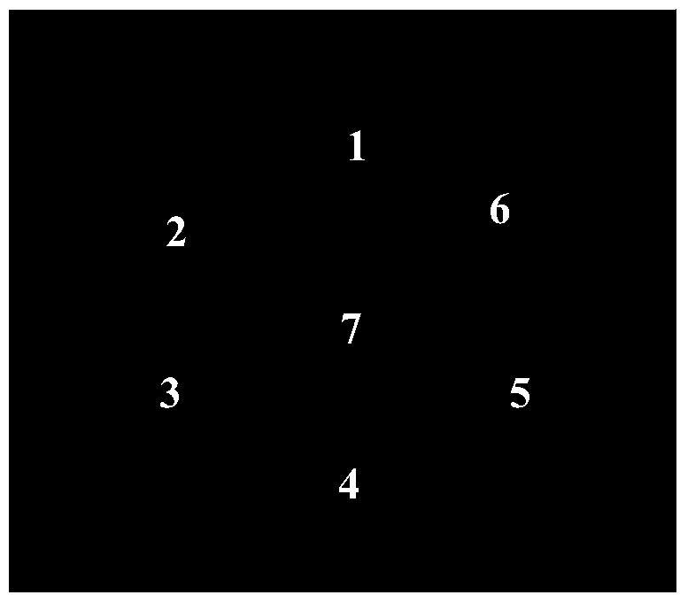 Antimicrobial peptide MP1106, preparation method and application thereof