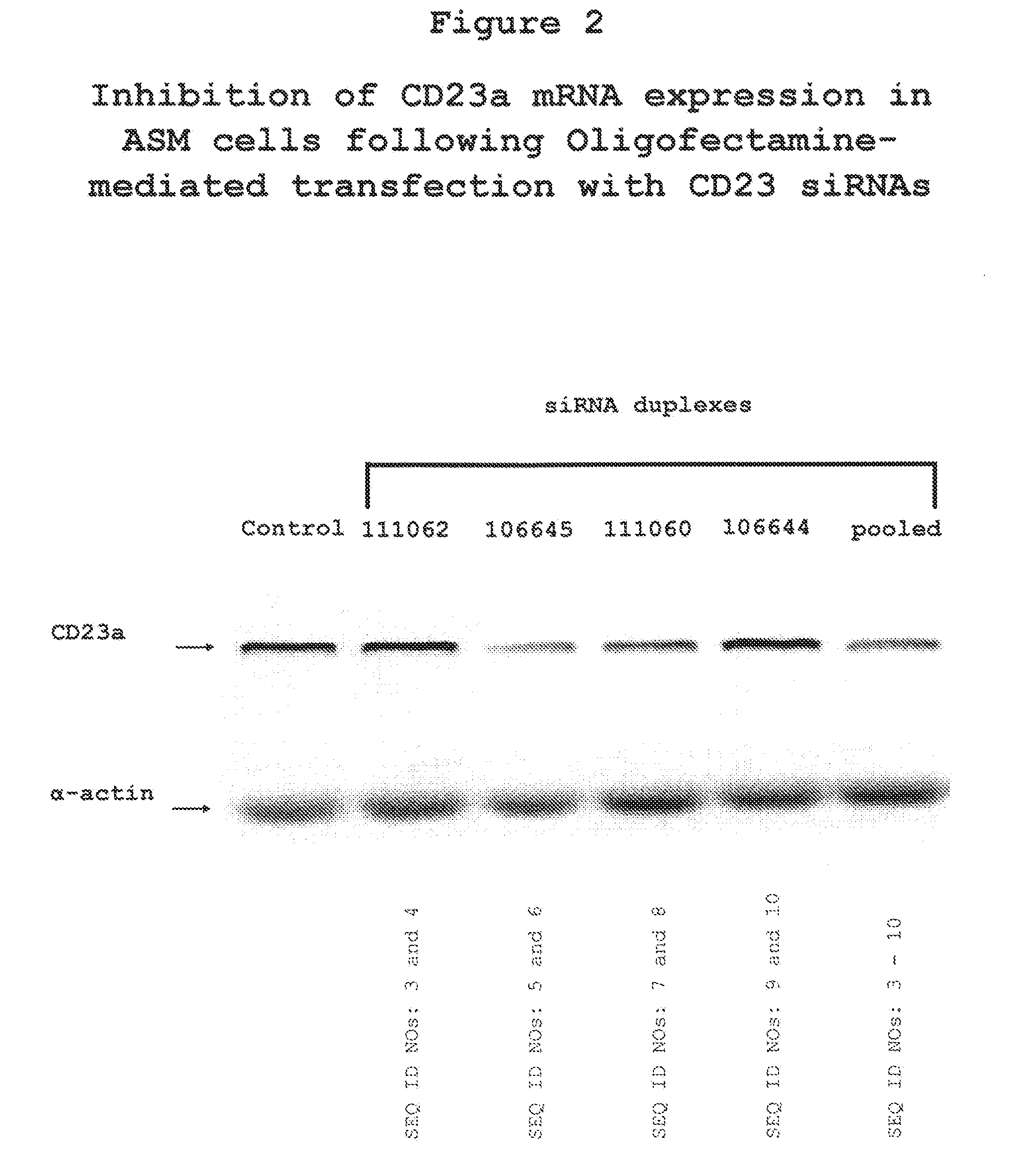 Compositions and Methods to Treat Asthma