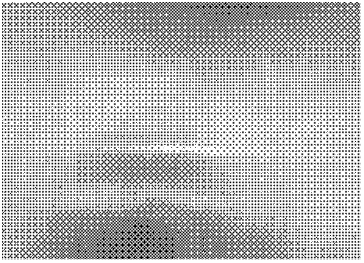 Nickel base alloy cast ingot and preparation method thereof