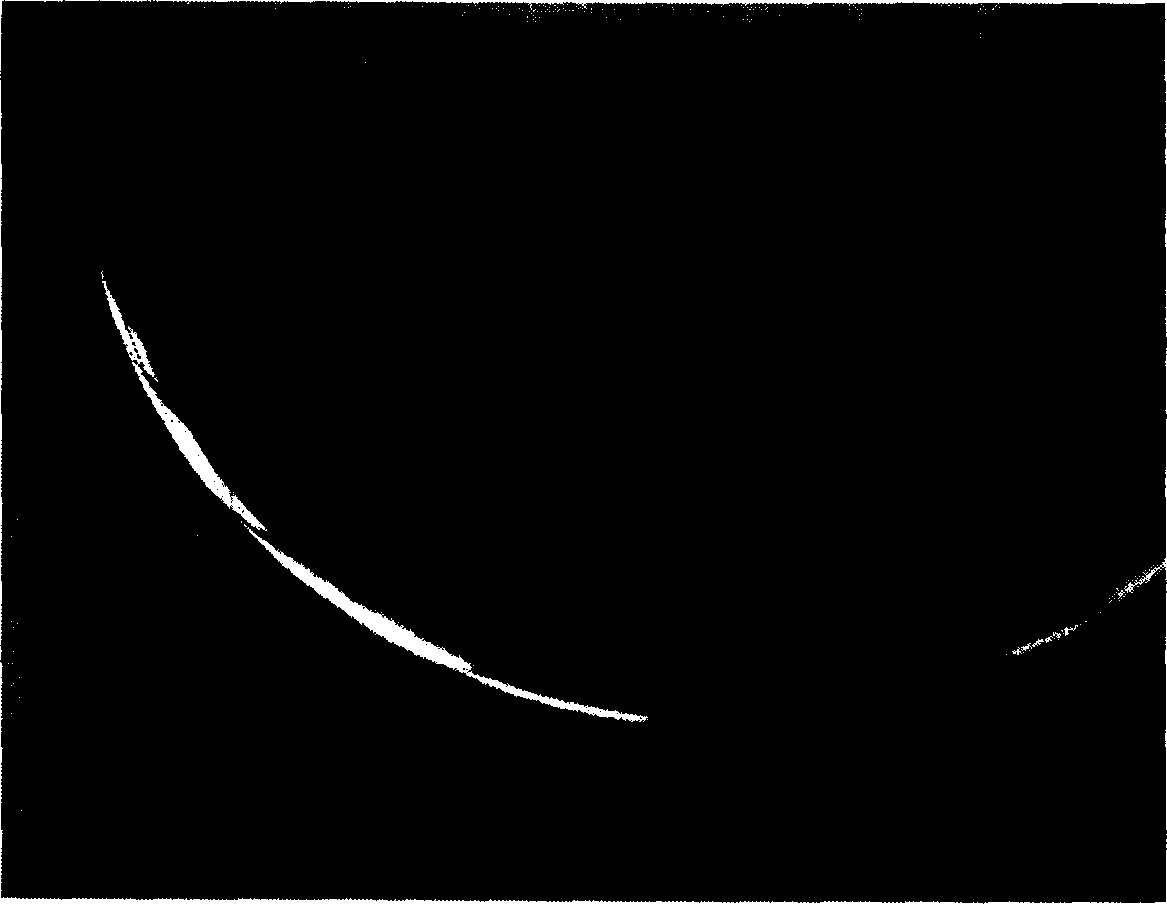 Method for inductively producing snow lotus somatic embryo