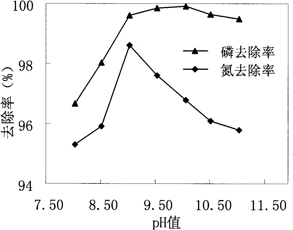 Ammonium magnesium phosphate slow release fertilizer and preparation method thereof