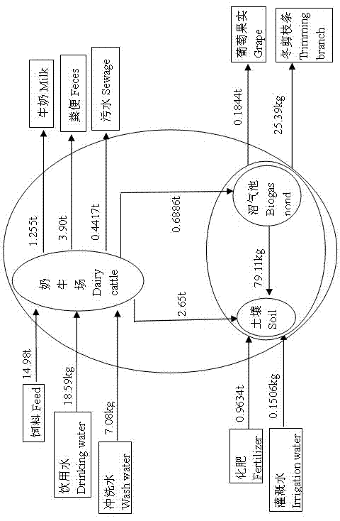 Dairy cow ecological breeding model with combination of farming and animal husbandry