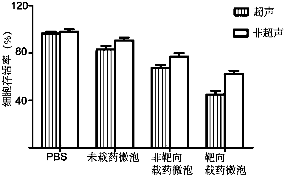 Placenta-like chondroitin sulfate A targeted delivery system and preparation method and application thereof