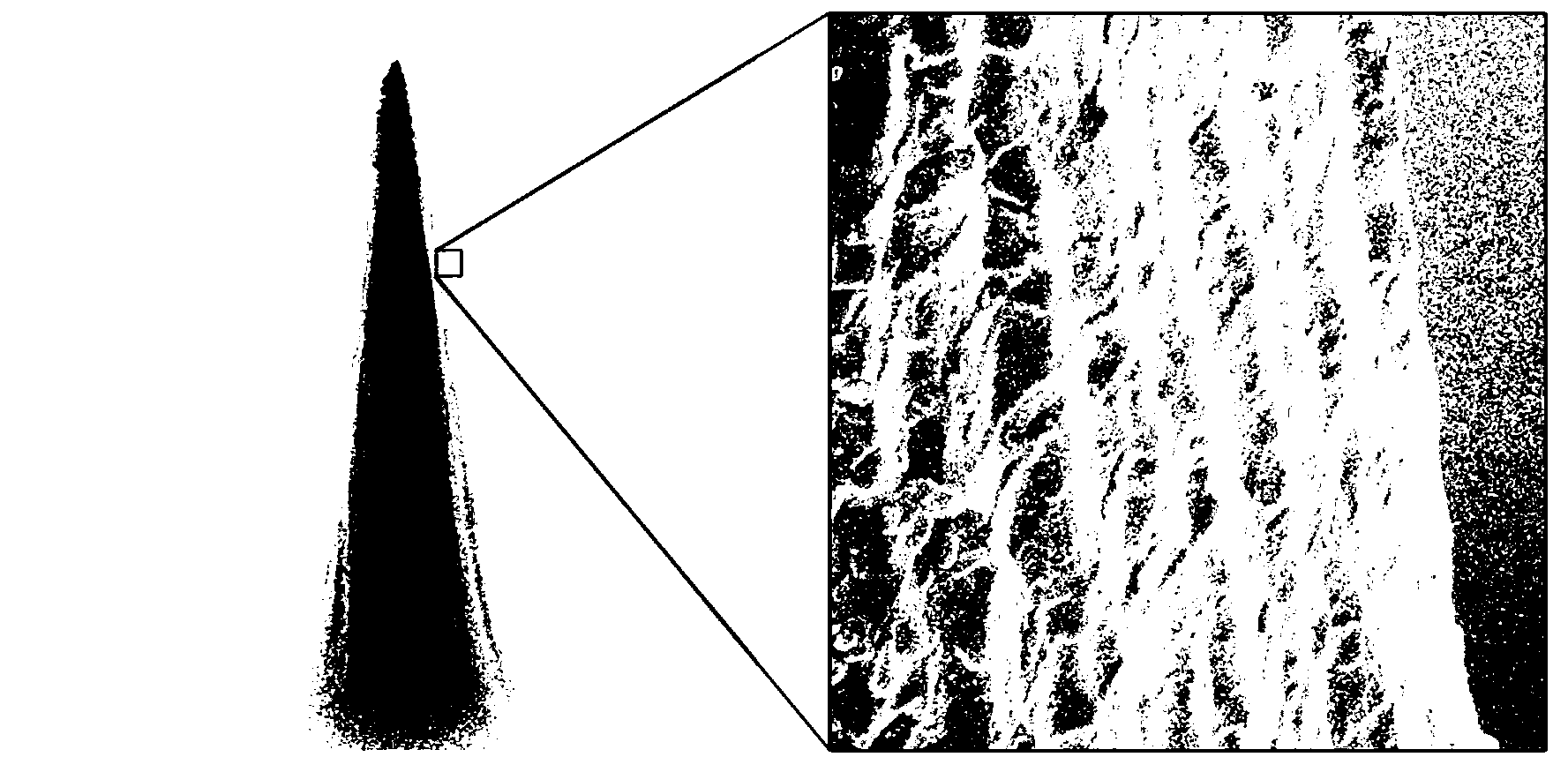 Film with oil-water separation tapered needle array having underwater oleophilic property on surface as well as preparation method and use of film