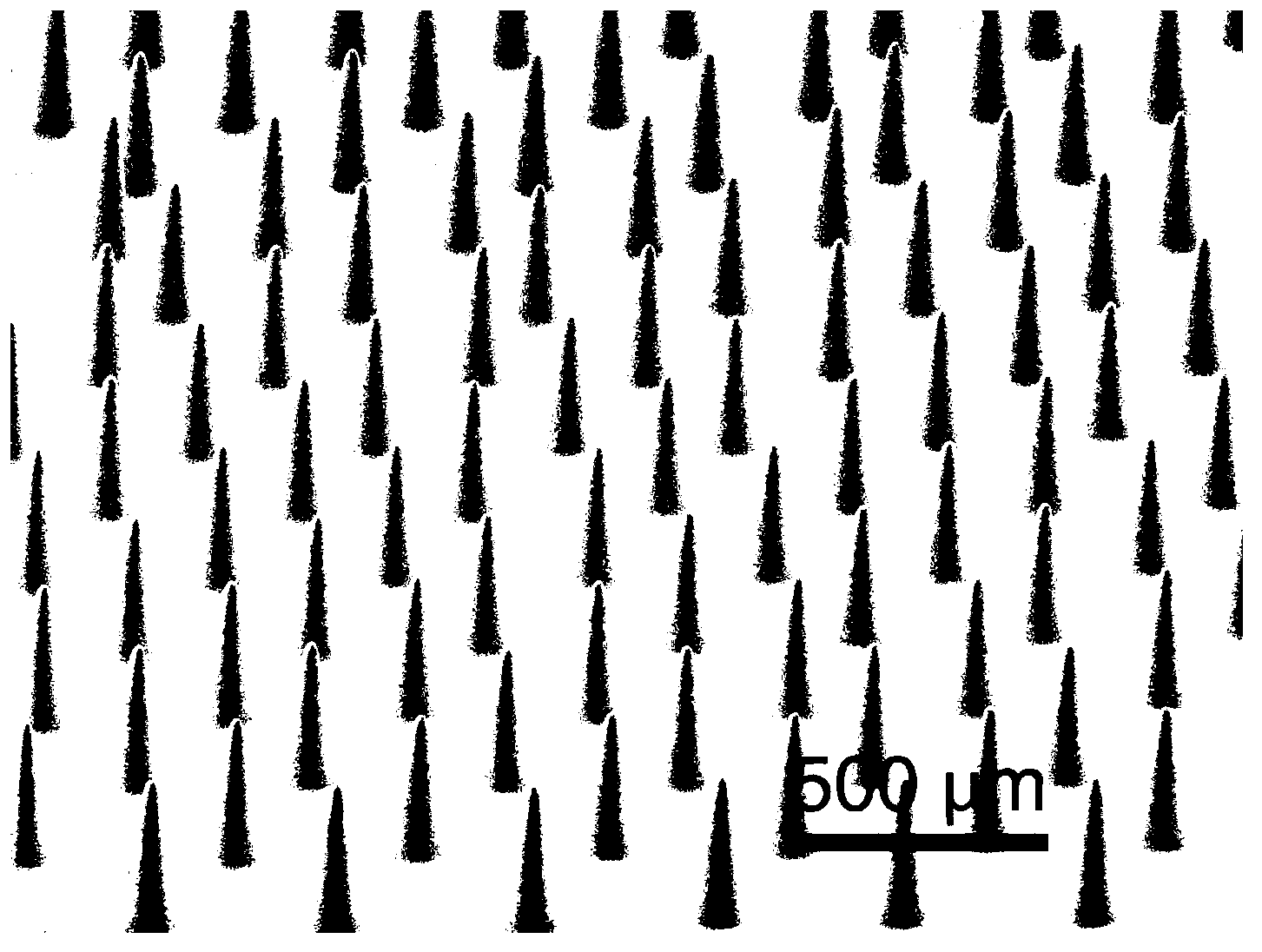 Film with oil-water separation tapered needle array having underwater oleophilic property on surface as well as preparation method and use of film