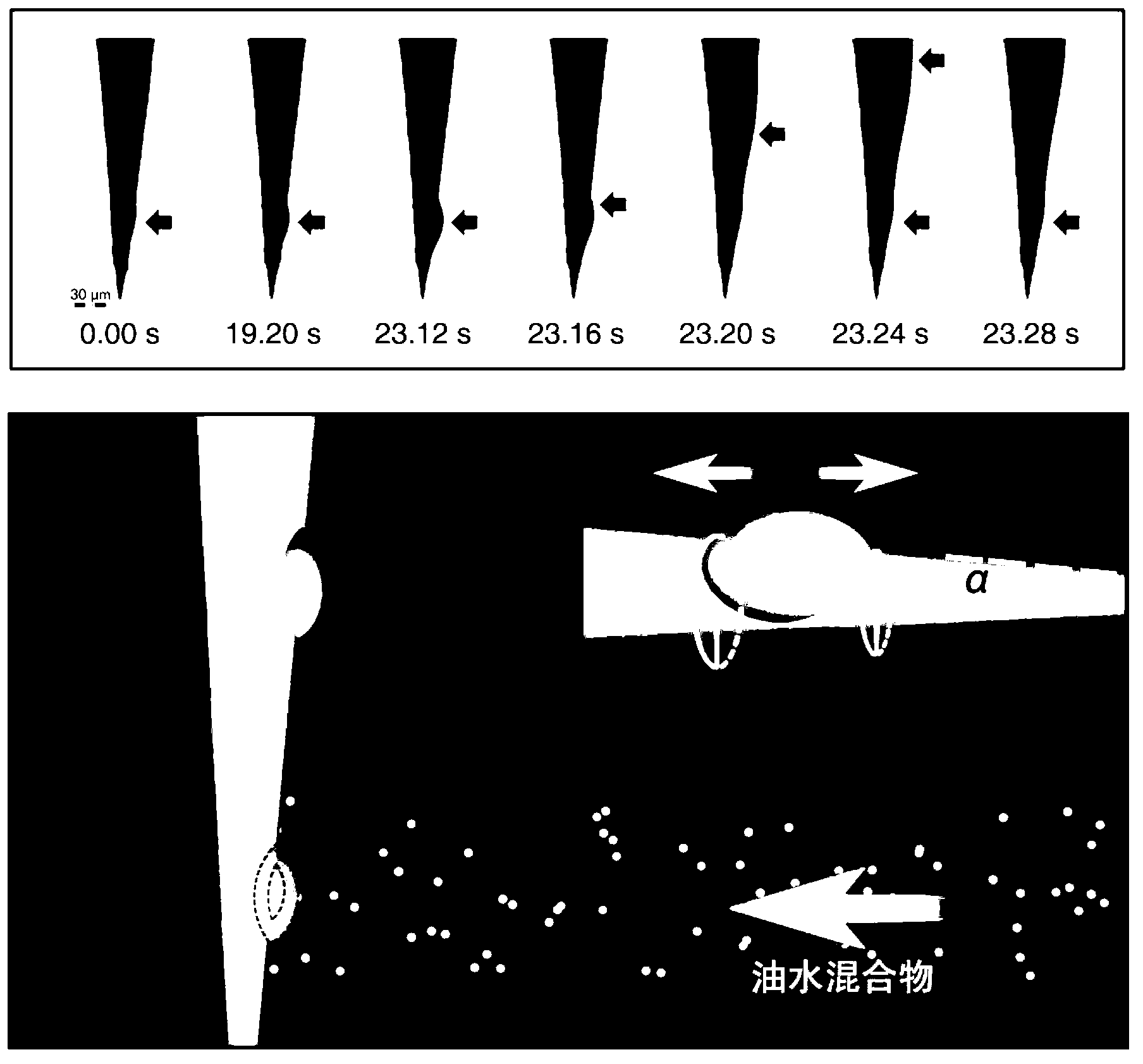 Film with oil-water separation tapered needle array having underwater oleophilic property on surface as well as preparation method and use of film