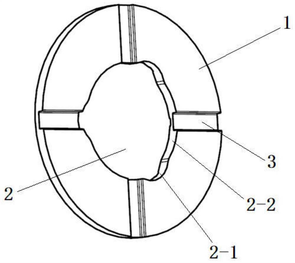 A planetary gasket